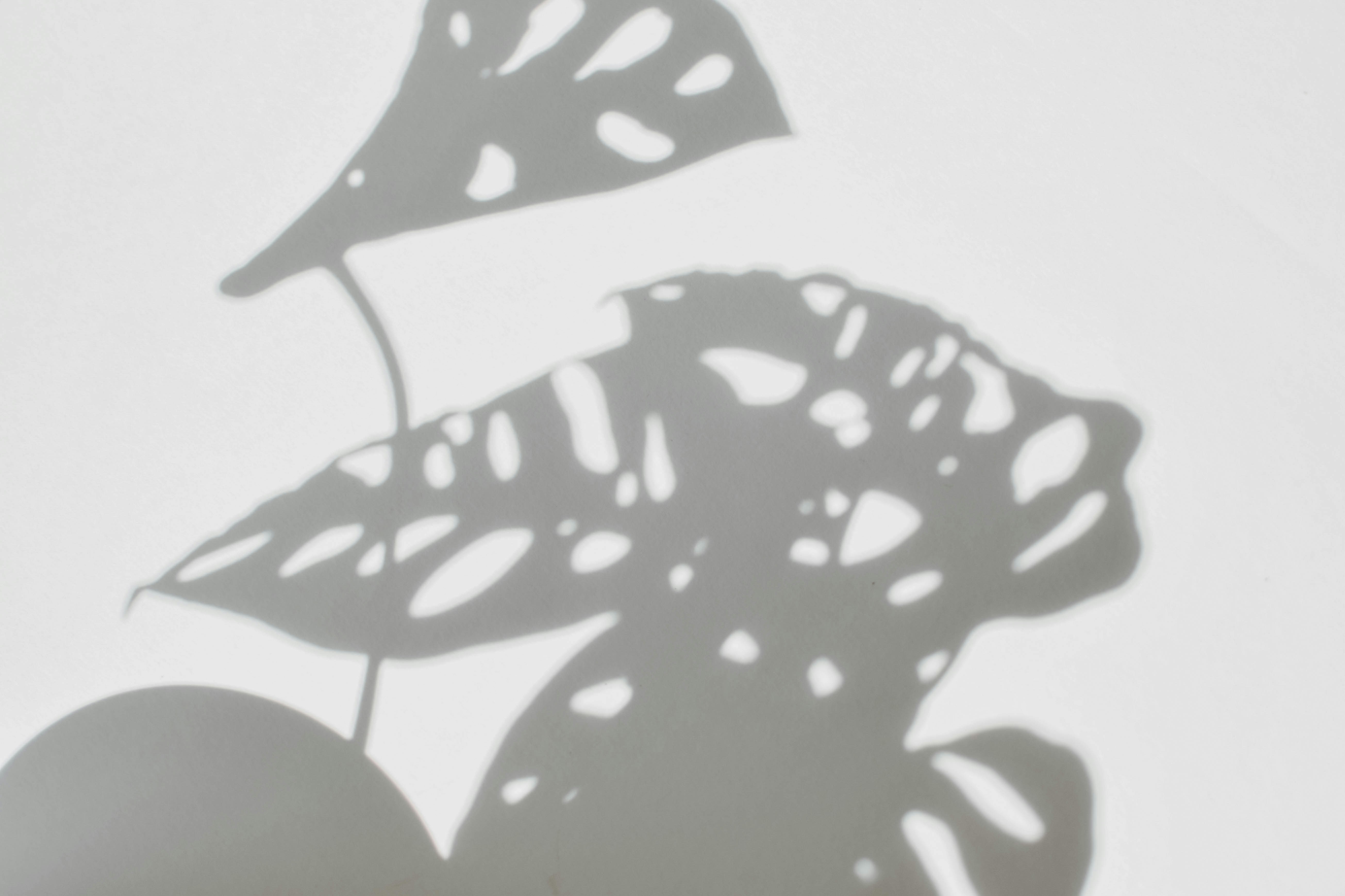 Plant Shadow Left